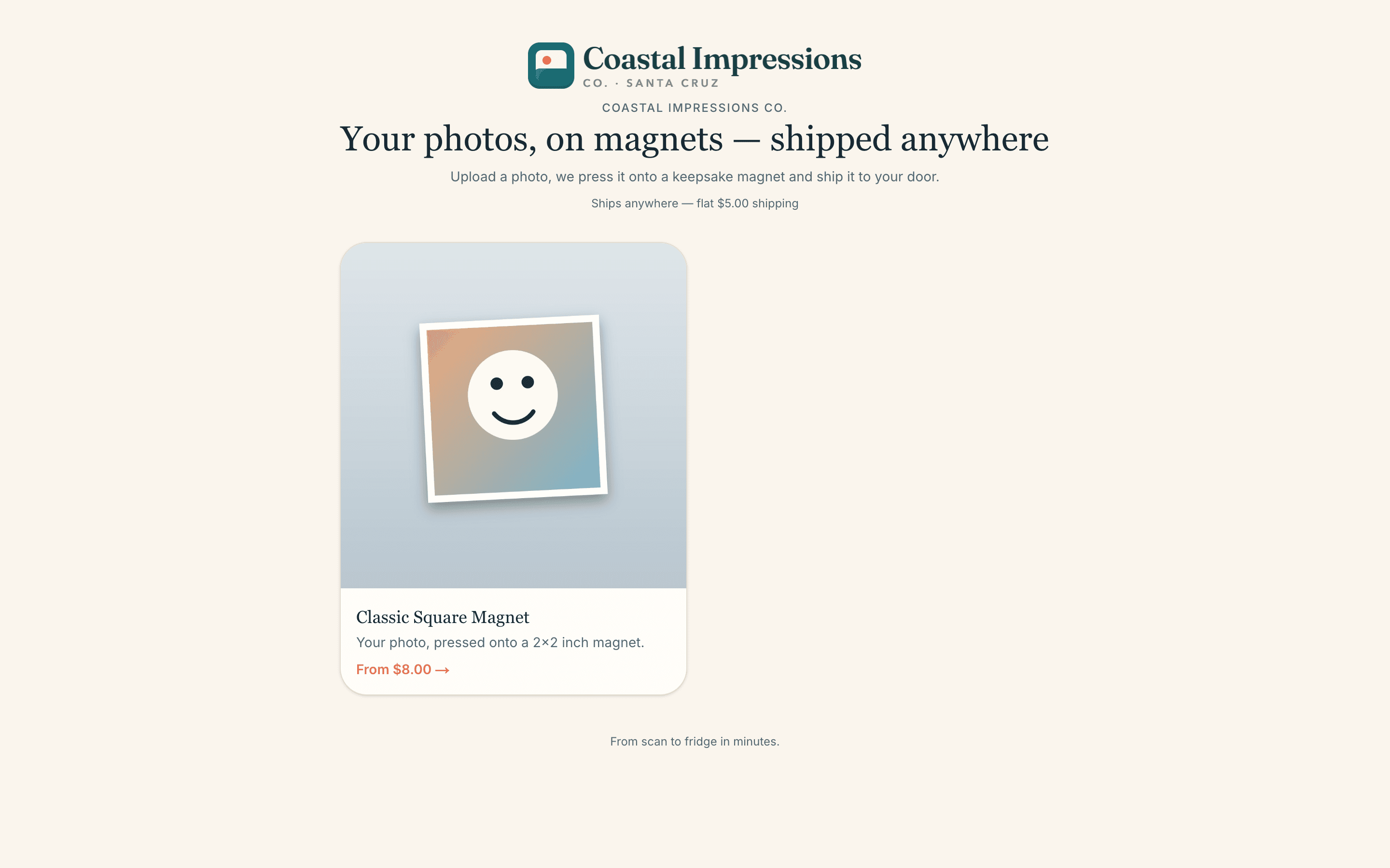 The web store storefront